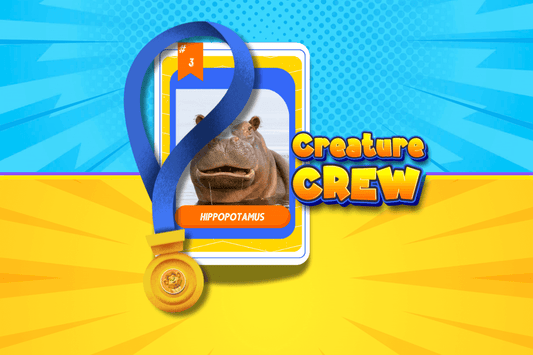 Get Your Hippopotamus Card!