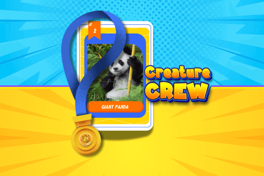 Get Your Giant Panda Card!