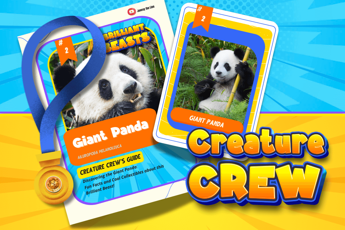 Giant Panda Creature Crew Guide with fun animal facts.