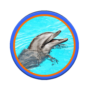 Animal Image 1