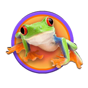 Animal Image 3