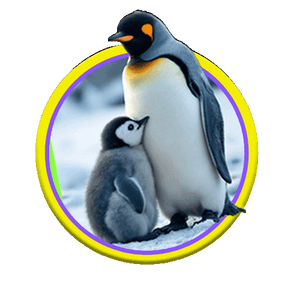 Animal Image 2