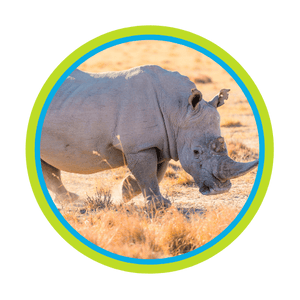 Animal Image 1