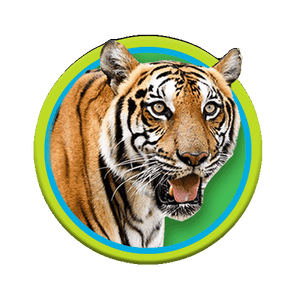 Animal Image 4